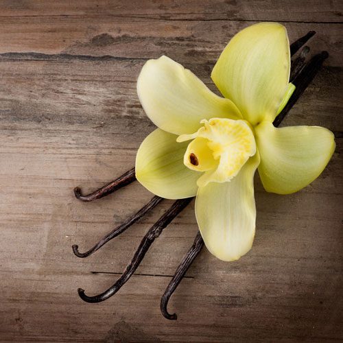 Vanilla Oak Fragrance Oil