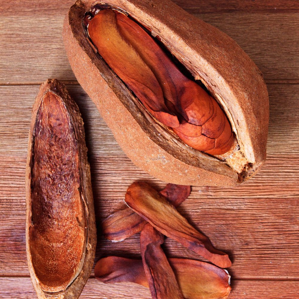 Spiced Mahogany Fragrance Oil