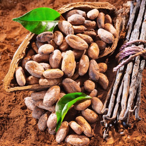 Vanilla Bean Fragrance Oil