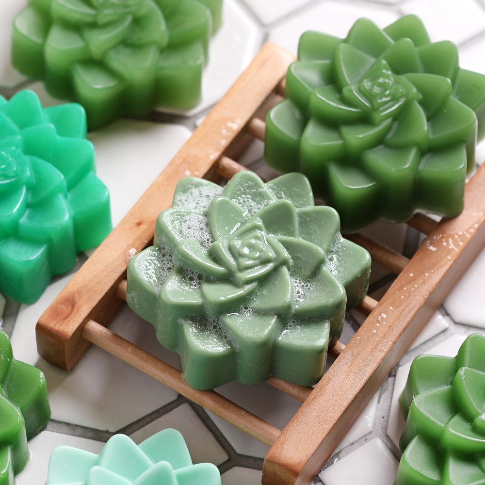 Succulent Melt and Pour Soap Kit image number null