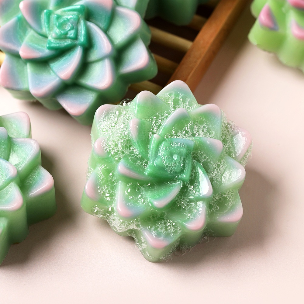 Colorful Succulent Soap Project image number null