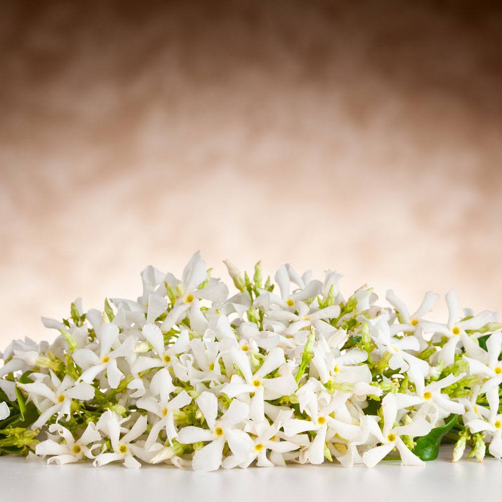 DISCONTINUED - Neroli Fragrance Oil